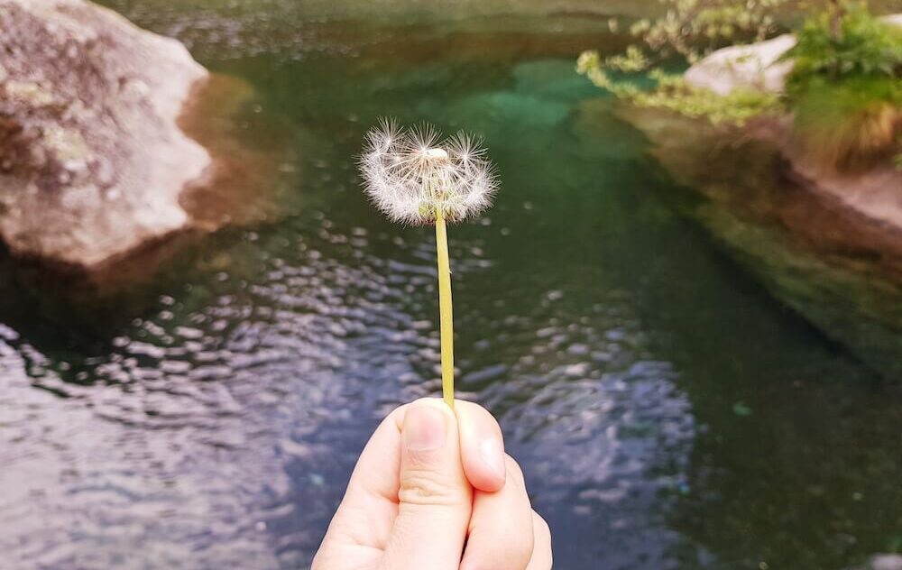 acqua settimana consigli lettura