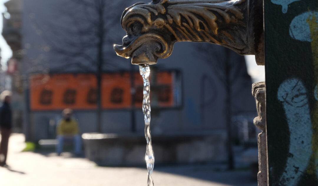 Acqua Tre capitoli sulla mercificazione della vita Emilio Molinari