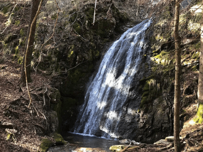 acqua Patrizia